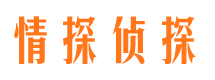 平安市私人侦探